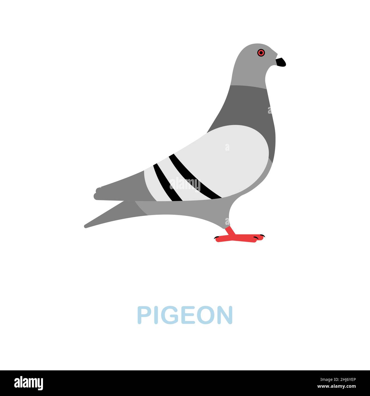Icona Pigeon piatto. Segno colorato della collezione di animali selvatici. Flat Pigeon icona segno per il web design, infografica e altro ancora. Illustrazione Vettoriale
