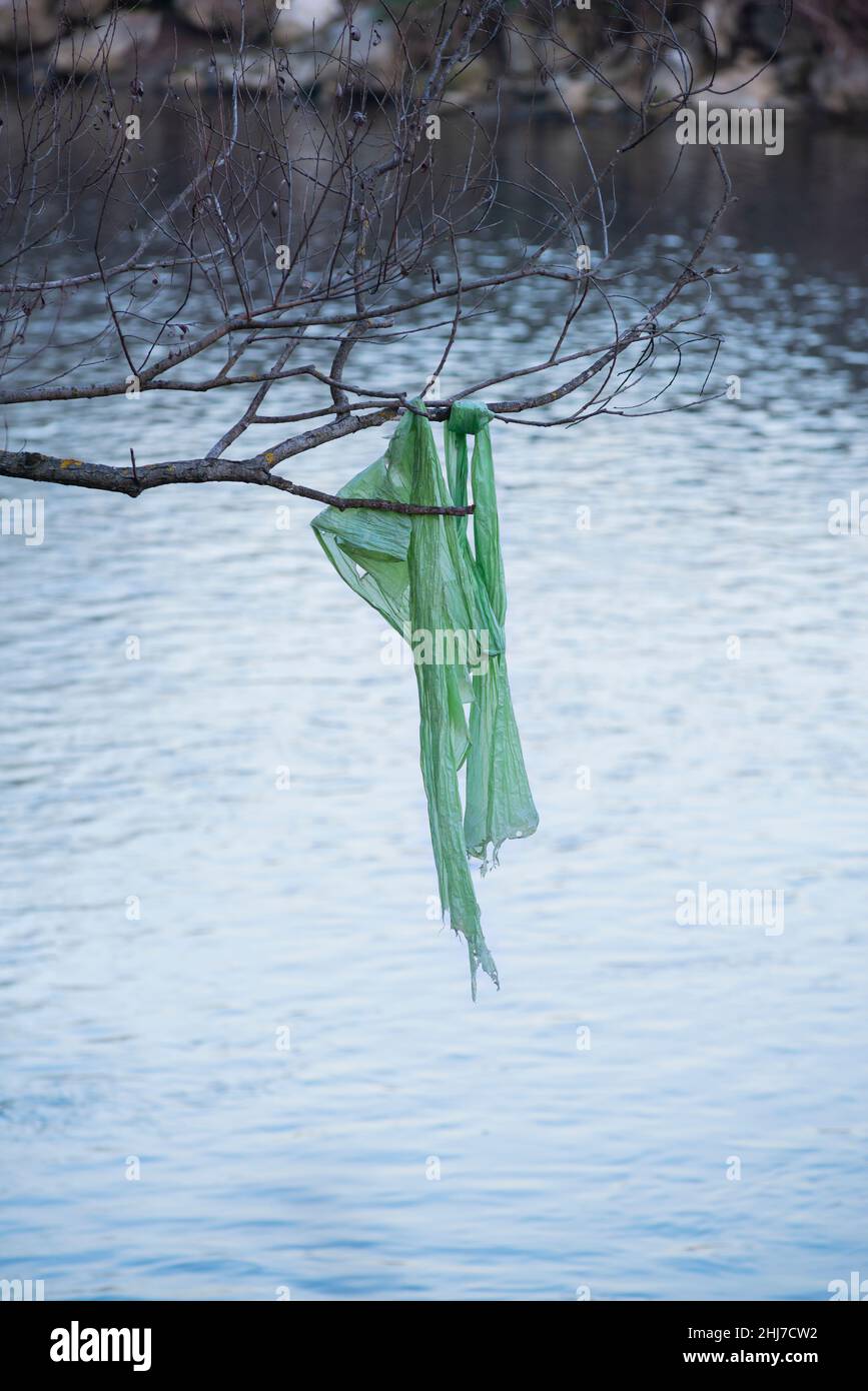 Italia, Lombardia, plastica verde catturata in rami di albero Foto Stock