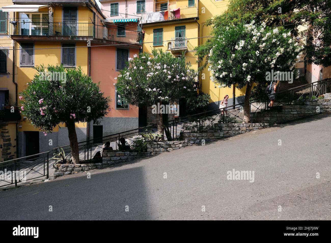 Riomaggiore, uno dei paesi delle cinque Terre sulla Riviera Italiana. Foto Stock