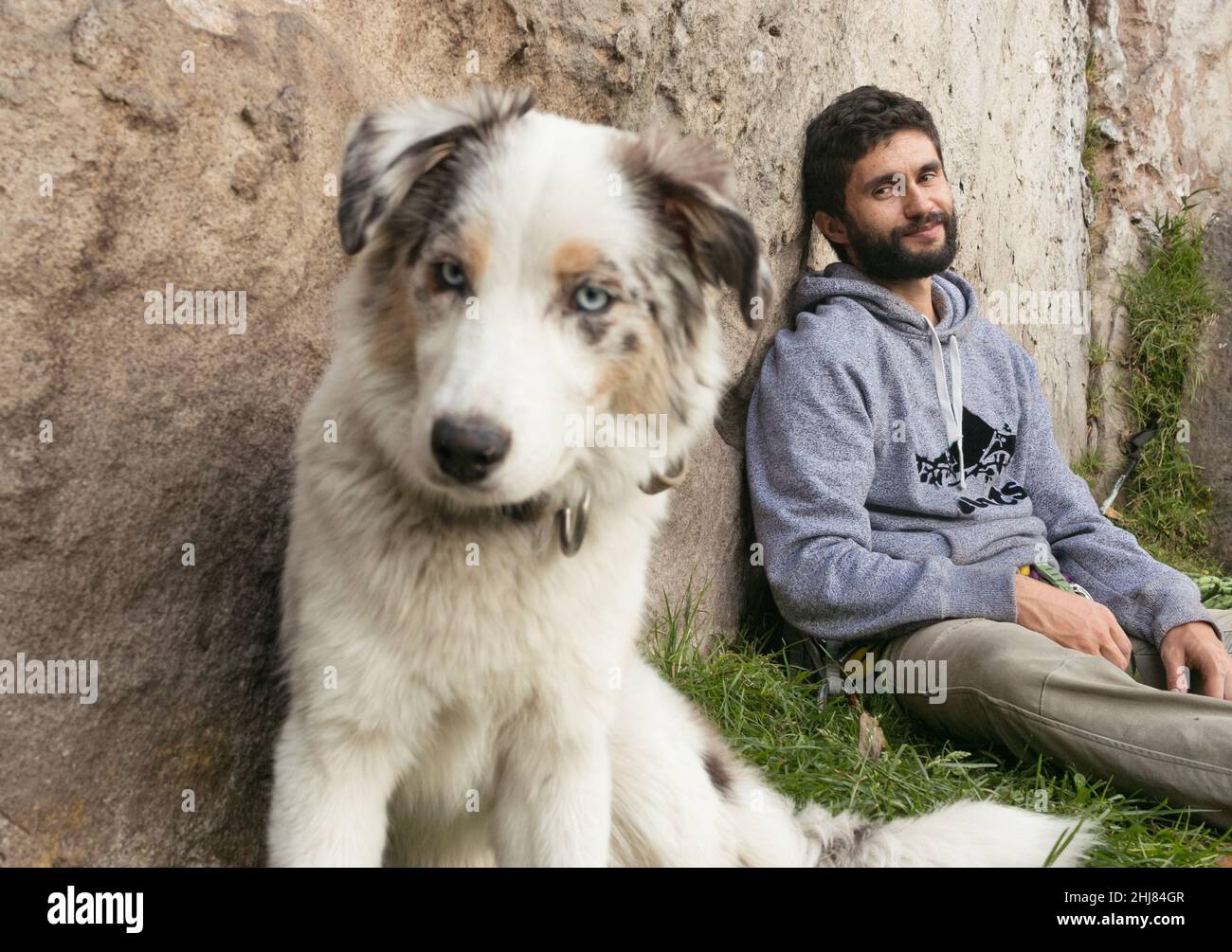 L'uomo ispanico e le collie di bordo marroni si amano all'aperto Foto Stock