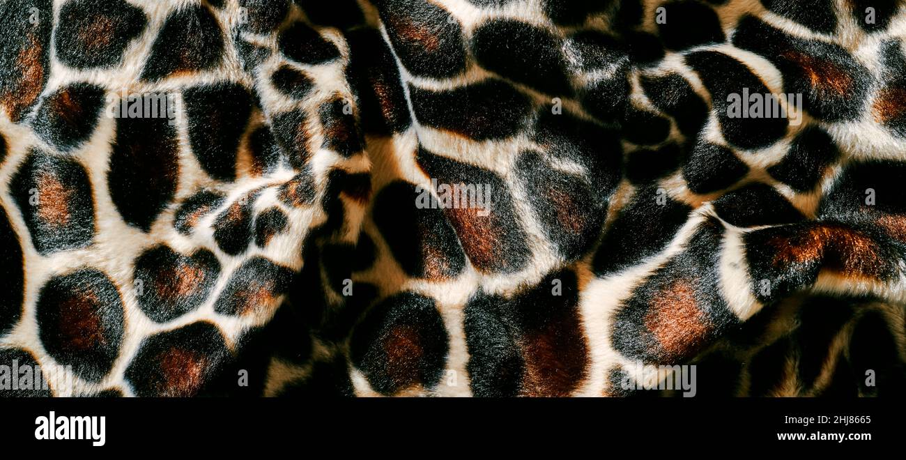 un tessuto drappeggiato di stampa animale da usare come sfondo Foto Stock