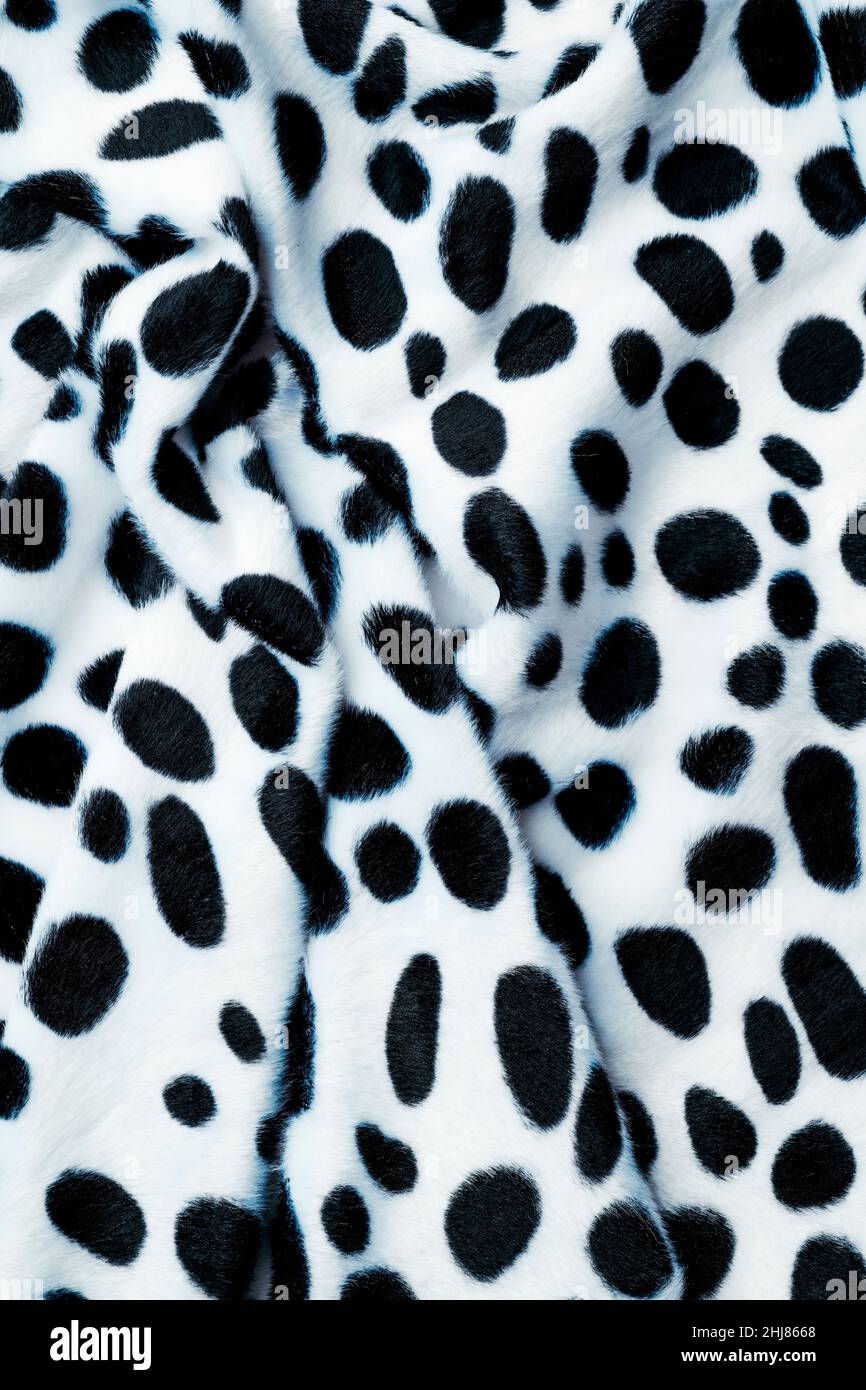 primo piano di un tessuto drappeggiato di stampa animale bianco e nero da utilizzare come sfondo Foto Stock