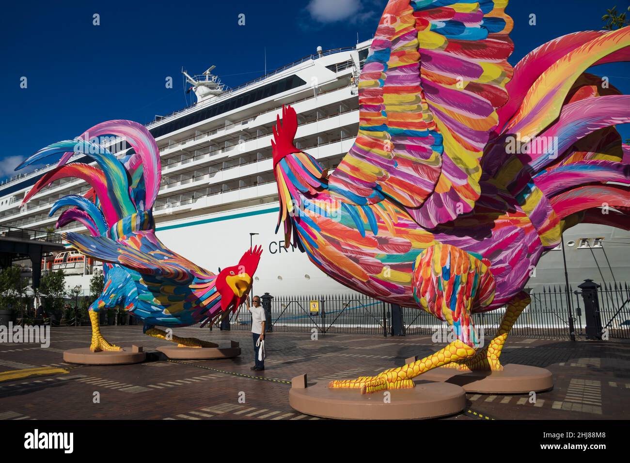 Sydney, Australia - 16 Febbraio 2018: Visitatore che posa di fronte a enormi mostre di gallo come segno cinese zodiaco istituito per il lunare cinese nuovo anno a fro Foto Stock