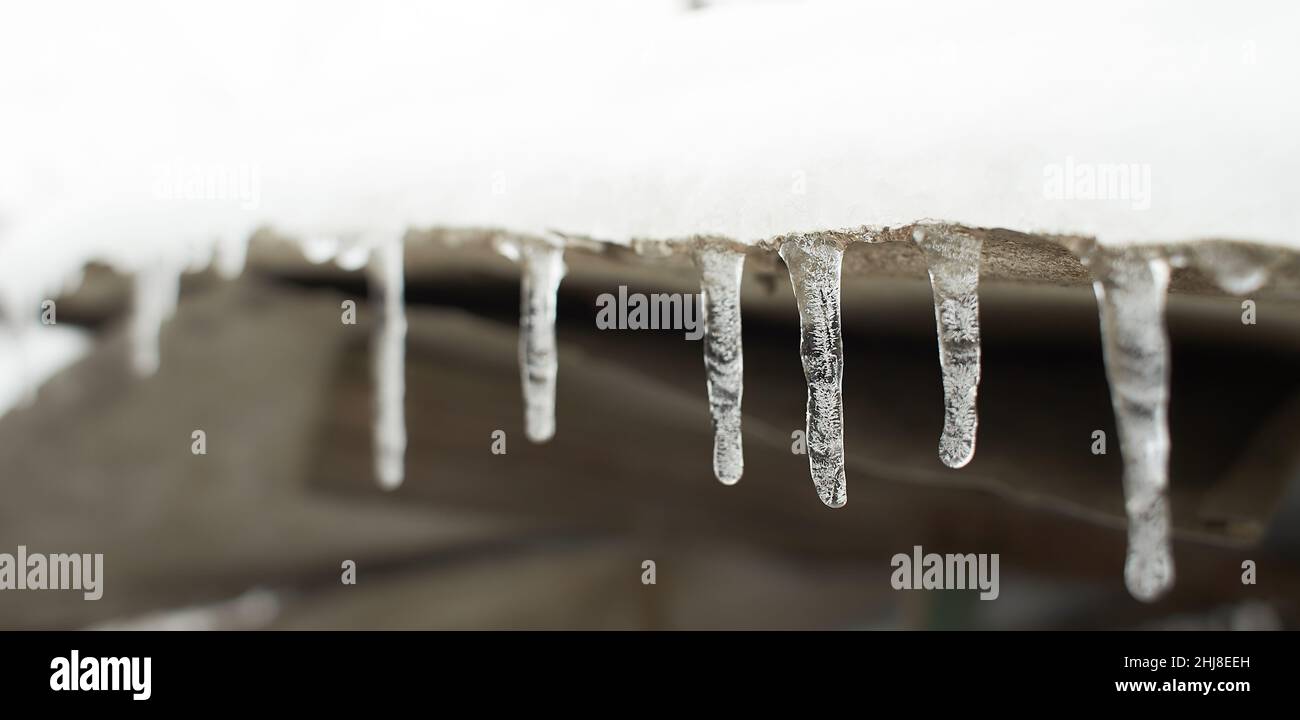 Ghiaccioli appesi, gocciolando. D'inverno a primavera. Profondità poco profonda di campo. Modello di cristallo di ghiaccio appeso un pace di legno. Foto Stock