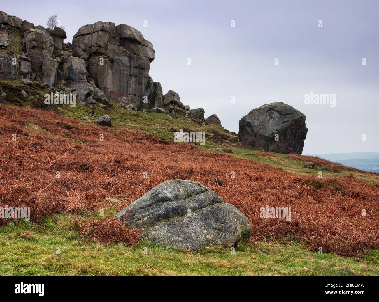 Vista da sotto la formazione rocciosa di Cow and Calf su Ilkley Moor, Yorkshire, Regno Unito Foto Stock