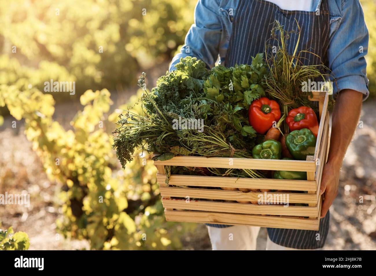 Fare scelte migliori di ciò che si mette sul vostro piatto Foto Stock