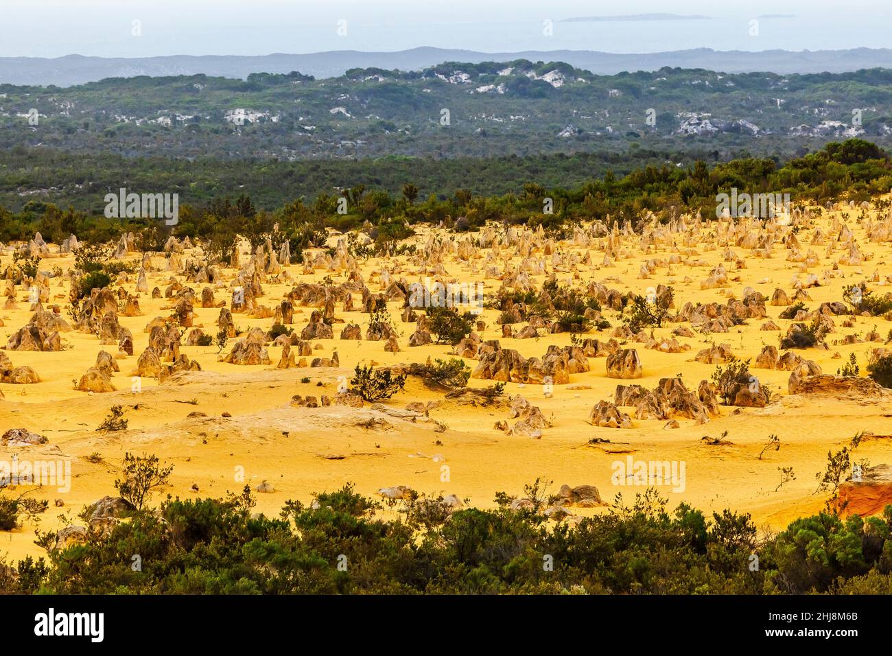 Il famoso deserto dei Pinnacoli e il Parco Nazionale di Nambung. Australia occidentale. Foto Stock
