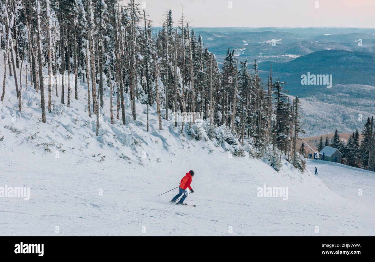 Sci alpino invernale. Sciare donna sciatore andare in discesa contro gli alberi coperti di neve su pista pista sci in inverno. Buona sciatrice femminile ricreativa in Foto Stock