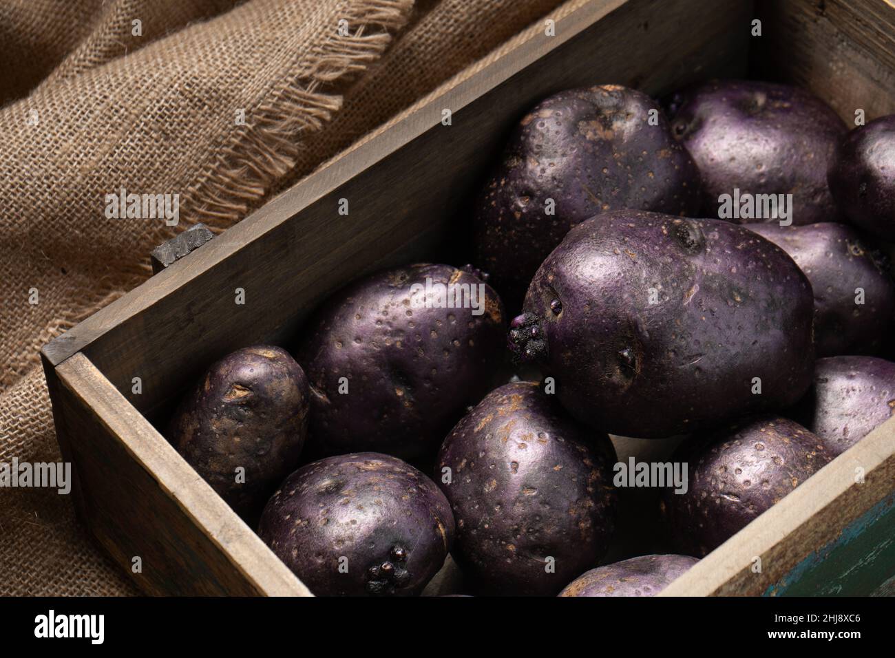 Patate crude di vitelotte viola in una scatola di legno con tela di burlap. Patate viola. Foto Stock