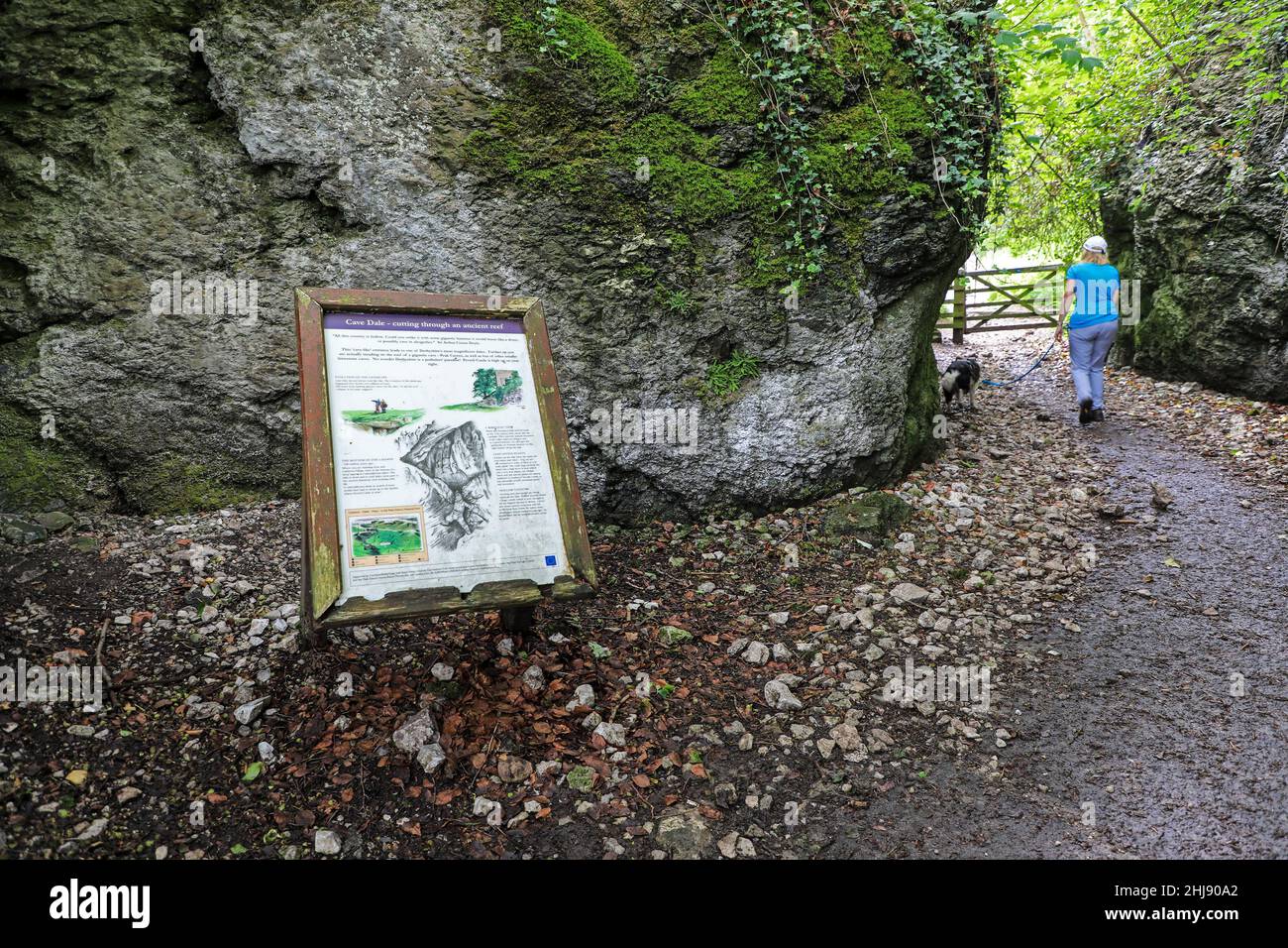 Un avviso o una scheda informativa, Cave Dale (o Cavedale), una valle di pietra calcarea asciutta nel Derbyshire Peak District, Castleton, Derbyshire, Inghilterra, Regno Unito Foto Stock