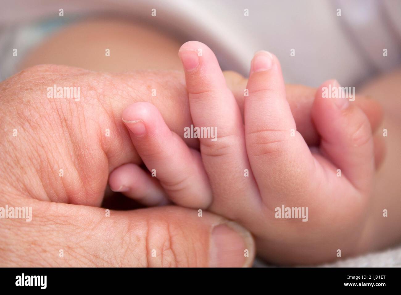 adulto che tiene la mano di un piccolo neonato Foto Stock