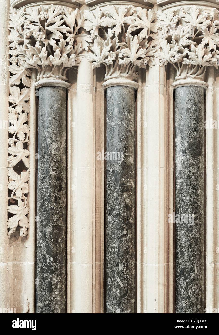 Le colonne decorative in pietra adornano il muro della casa capitolare della cattedrale di Southwell, Inghilterra. Foto Stock