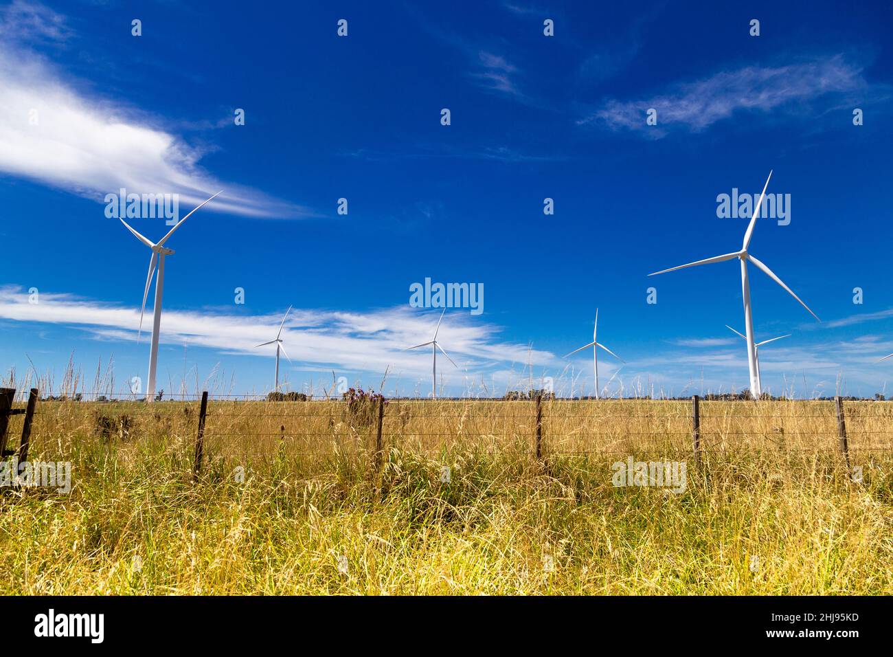 Turbina di energia eolica. Generatore di energia eolica. Cambiamenti climatici e tutela dell'ambiente. Foto Stock