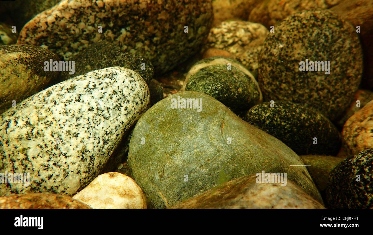 Vista dorata di rocce macchiate sott'acqua in un fiume NZ South Island Foto Stock