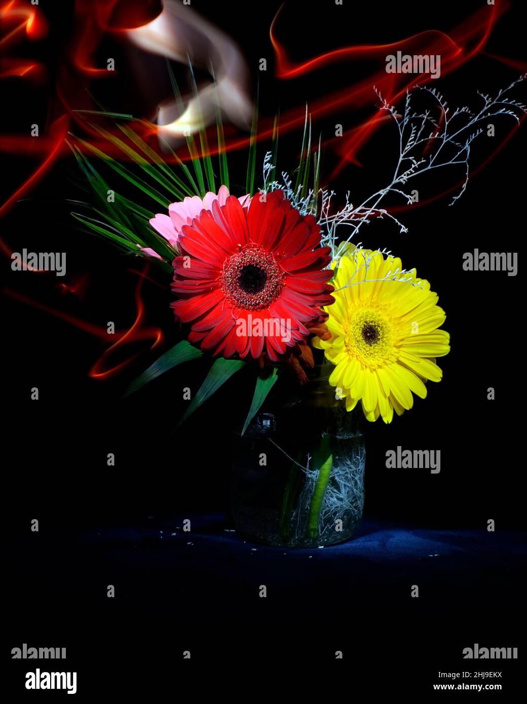 Pittura leggera di un bouquet di Chrysanthemum Foto Stock