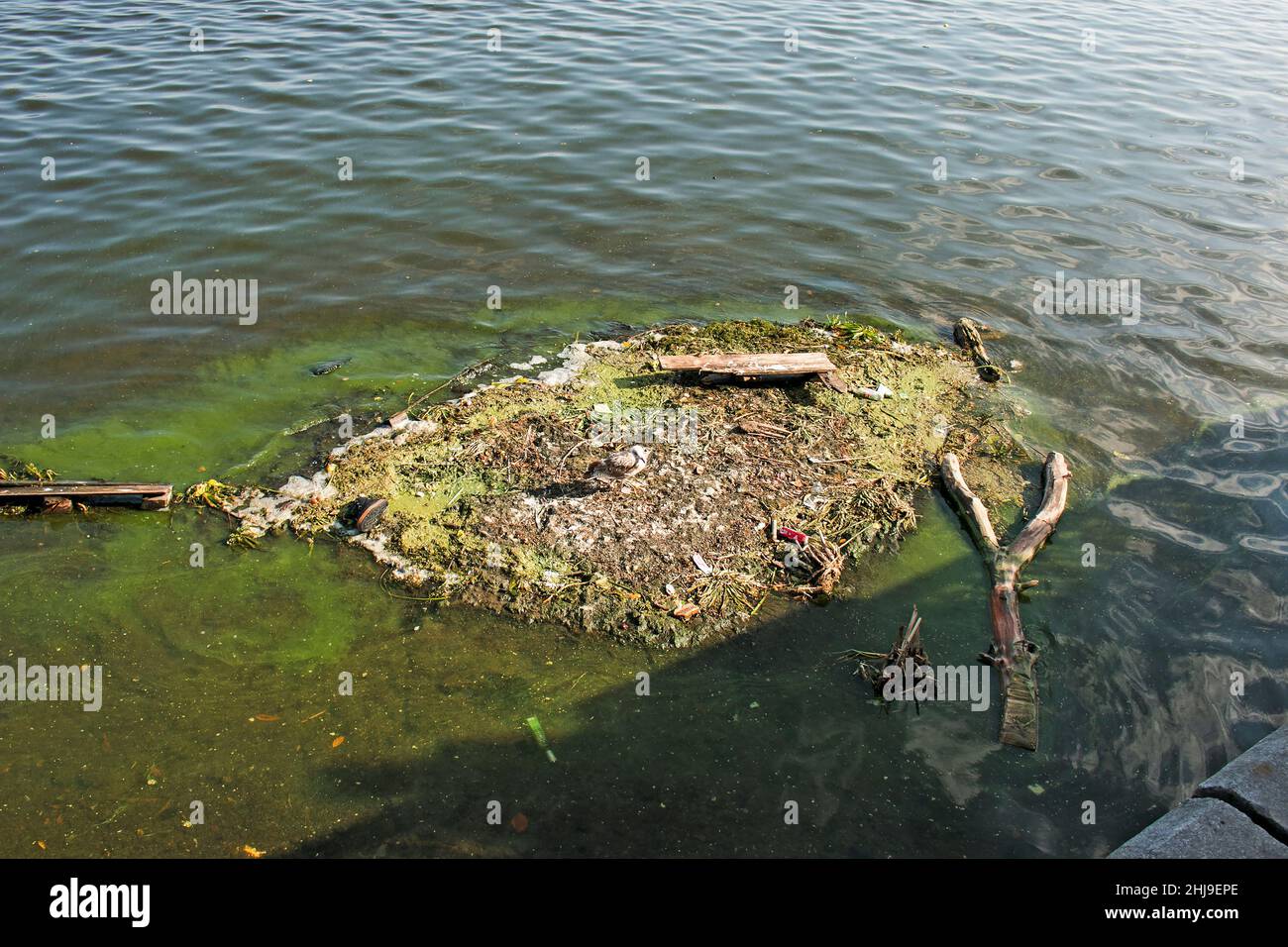 Problemi ecologici del fiume Dnieper. L'isola di recente formazione di rifiuti industriali e rifiuti. Foto Stock