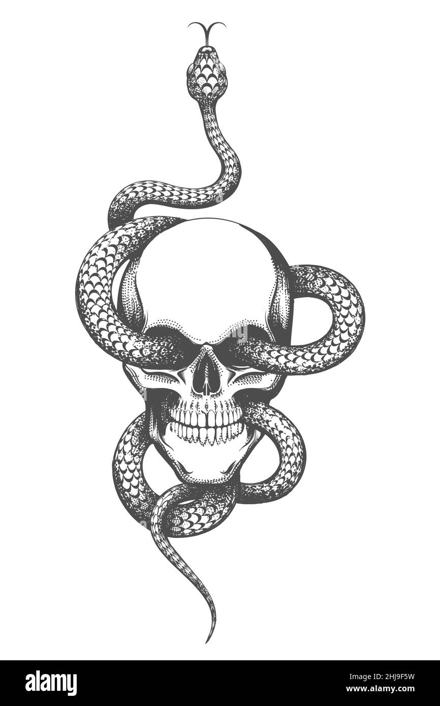 Tatuaggio di cranio e serpente disegnato in stile incisione isolato su sfondo bianco. Illustrazione vettoriale. Illustrazione Vettoriale