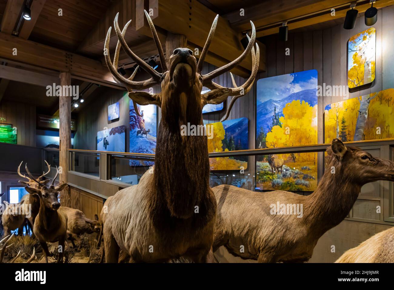 Jackson Hole e Greater Yellowstone Visitor Center sul National Elk Refuge, Jackson, Wyoming, USA [l'immagine include opere protette da copyright; pidocchi editoriali Foto Stock