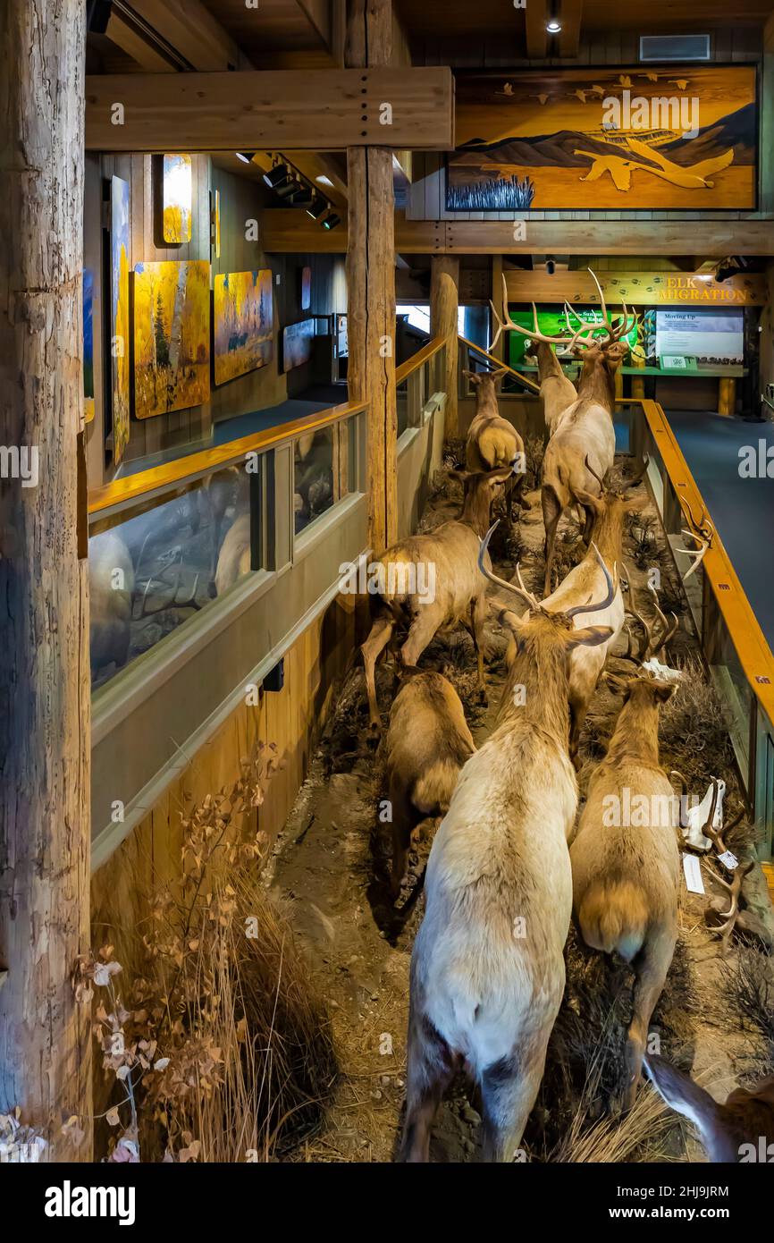 Jackson Hole e Greater Yellowstone Visitor Center sul National Elk Refuge, Jackson, Wyoming, USA [l'immagine include opere protette da copyright; pidocchi editoriali Foto Stock