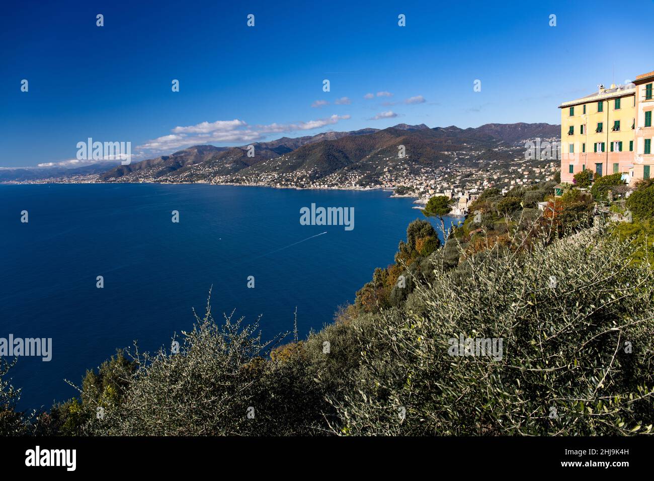 Italia:in una giornata di luce meravigliosa, da Punta Chiappa una vista della costa ligure a Genova e oltre, dell'Appennino Ligure e del Mar Ligure Foto Stock