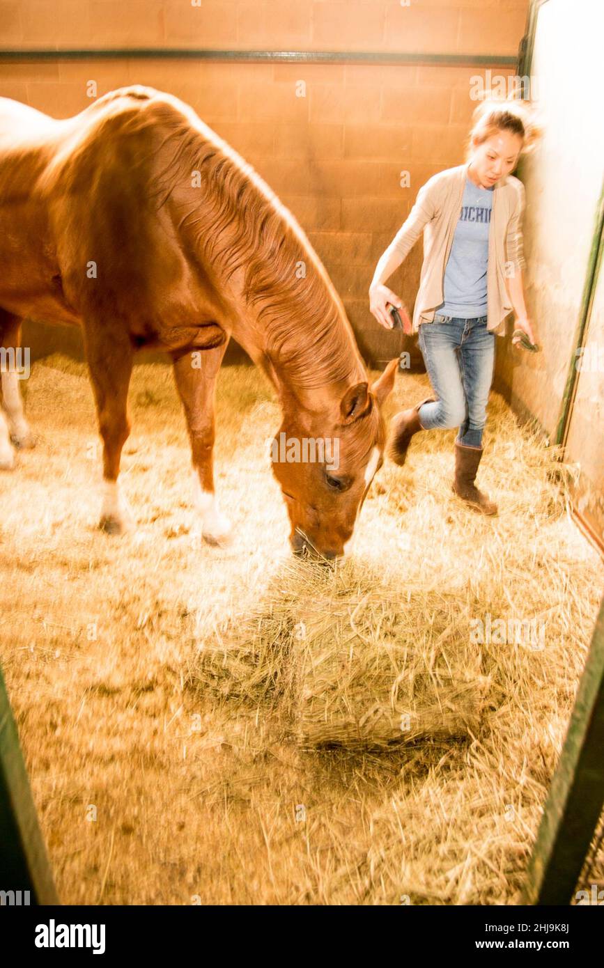 La terapia equina-assistita (MANGIARE) comprende una serie di trattamenti che coinvolgono attività con i cavalli per promuovere la salute fisica e mentale Foto Stock