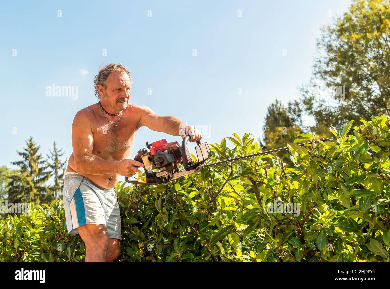 Siepe da taglio professionale Gardener con tagliasiepi a benzina, manutenzione autunnale del giardino. Foto Stock