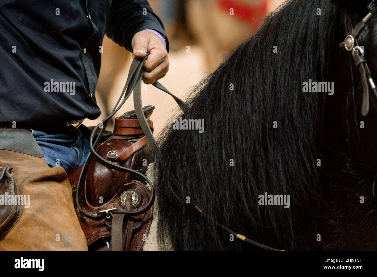 Dettaglio della mano di un cowboy che tiene le redini accanto alla sella Foto Stock