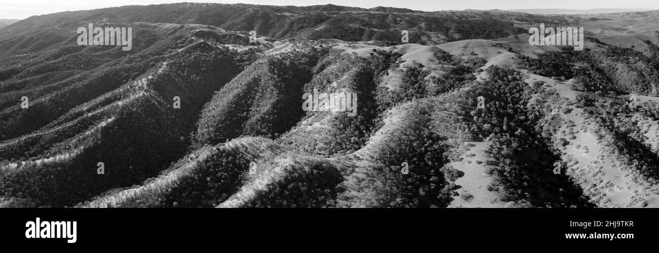 Erba verde e querce coprono le colline ondulate e le valli della Tri-valle della California settentrionale, appena ad est della Baia di San Francisco. Foto Stock