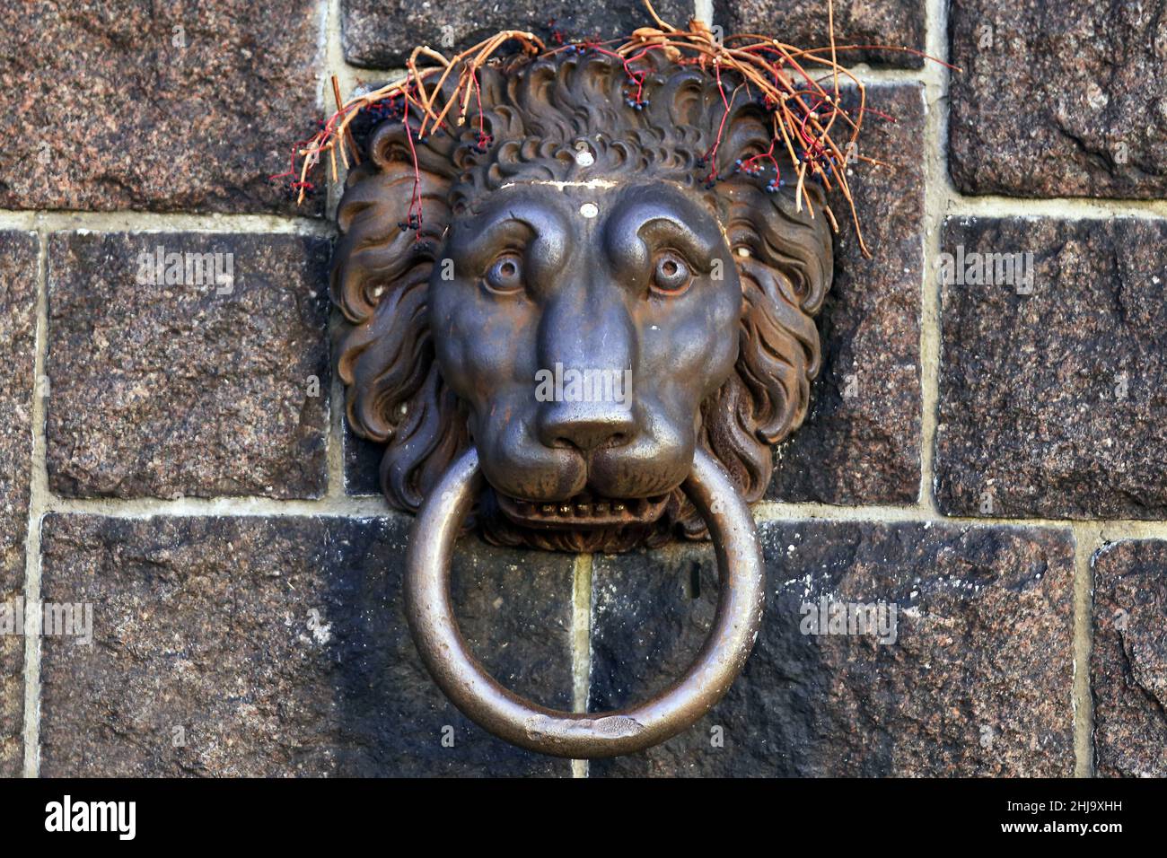 Simbolo del leone di Stoccolma del comune cittadino, Stoccolma, Svezia Foto Stock
