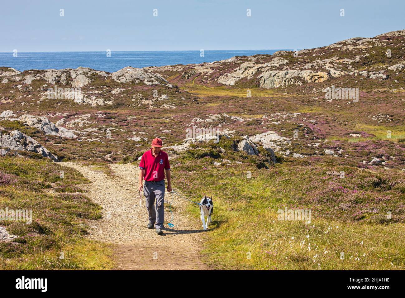 passeggiate con il cane Foto Stock