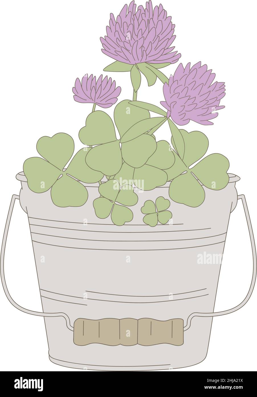 secchio shamrock fiori Illustrazione Vettoriale