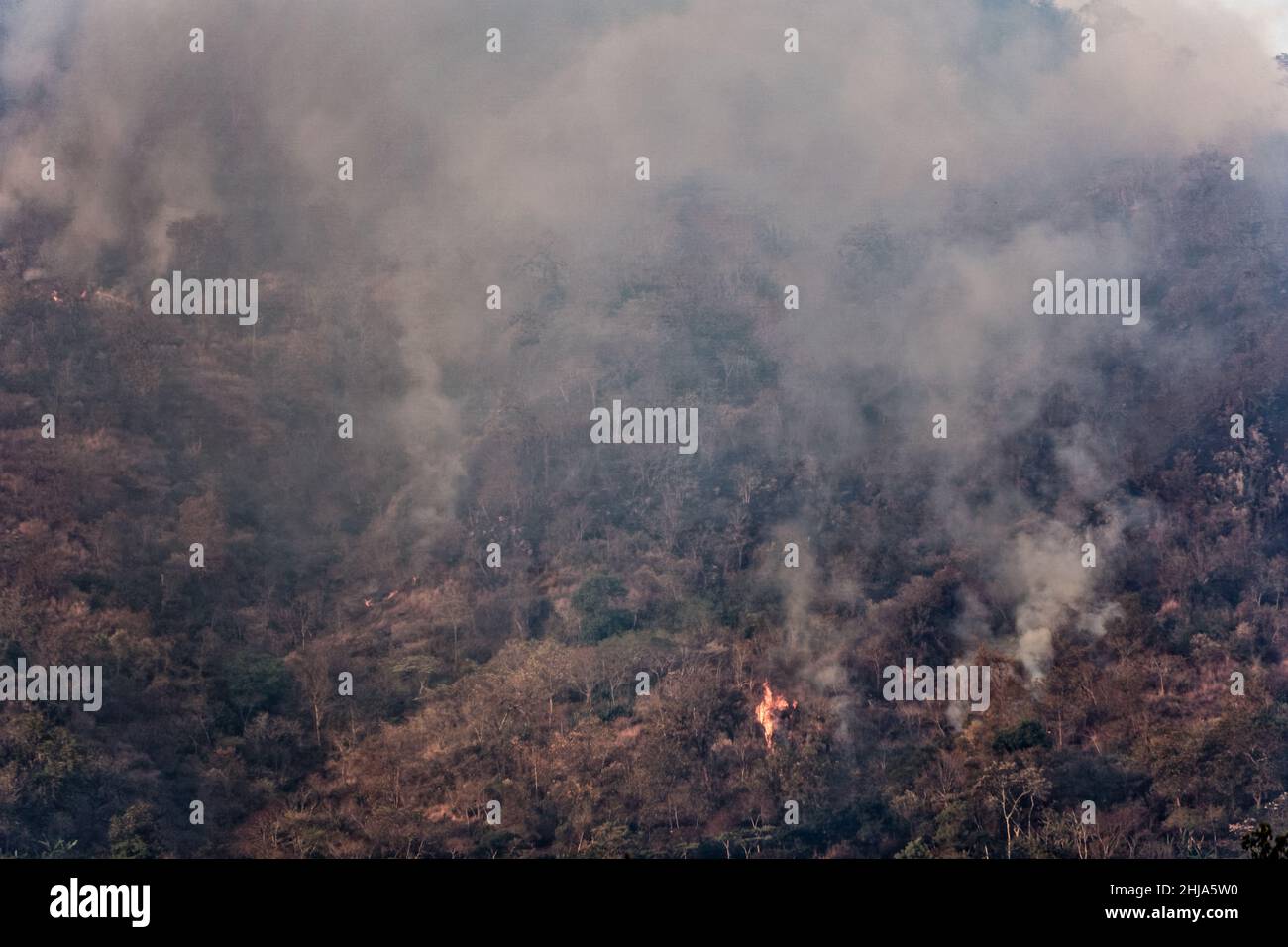 Fumo e fiamme da incendi appena illuminati si innalzano sulle montagne vicino a Jinotega, Nicaragua Foto Stock