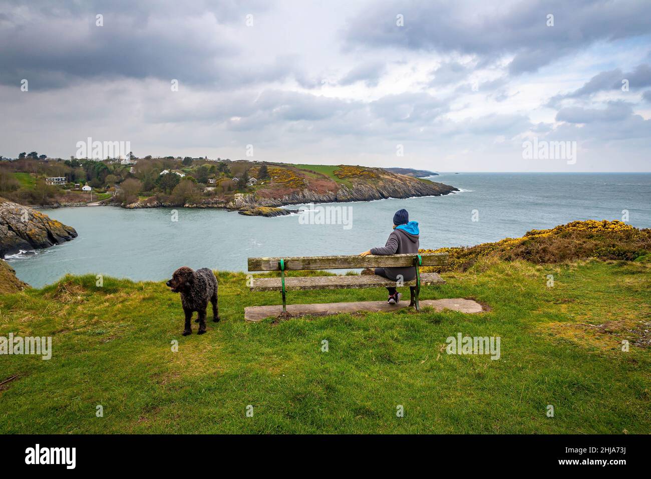 Lady e il suo cane nero Labradoodle siedono guardando Porth Eilian sull'isola di Anglesey Foto Stock