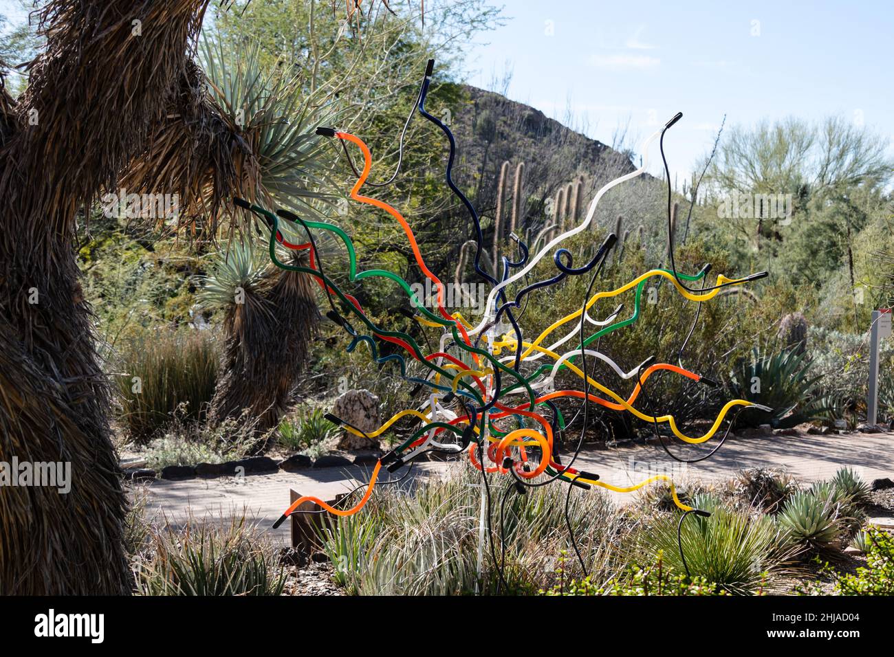 Chihuly nel giardino, Abstract Neon Light Incontri Foto Stock
