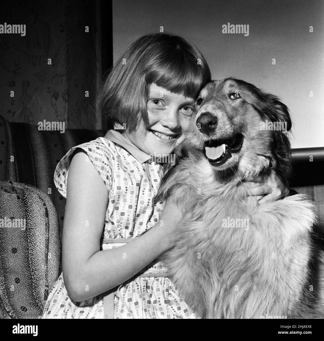 La ragazza riceve il premio RSPCA per il coraggio. Margaret o'Connor di Denton, Manchester, di otto anni, abbracciando il suo cane da compagnia Cindy. 26th giugno 1964. Foto Stock