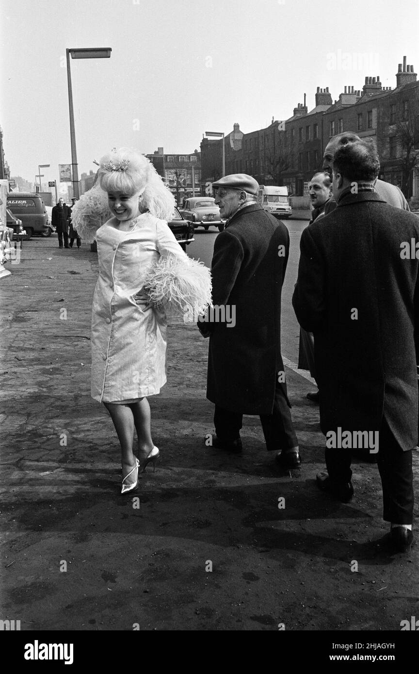 L'attrice Barbara Windsor nel suo vestito che ha intenzione di indossare per la prima reale del suo nuovo film 'Sparrows Can't Sing' all'ABC Cinema, Stepney. 24th febbraio 1963. Foto Stock