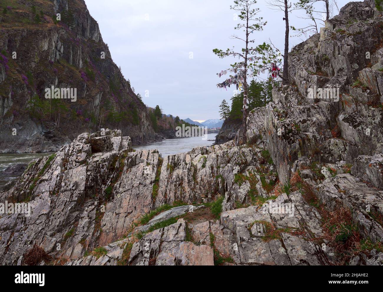 Rocce a strati verticali divergono fan sulle rive di un fiume di montagna. Una montagna ripida, con alberi e erba. Cielo blu. Natura pura del SIB Foto Stock