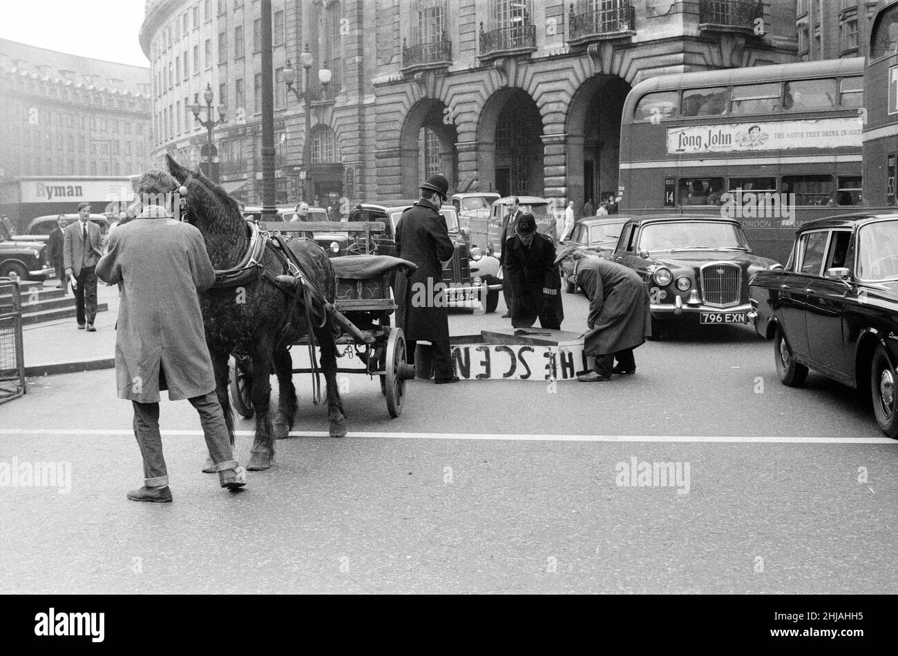 Henry Cooke, di Finsbury Park, perde il suo nuovo pianoforte bianco a Piccadilly Circus. Il signor Cooke, che aveva appena acquistato il pianoforte dal Twist Club di 'Scene', Windmill Street, è riuscito a riportare il pianoforte sul suo sago con l'aiuto di due poliziotti e del suo assistente John Maskell. 1st aprile 1963. Foto Stock