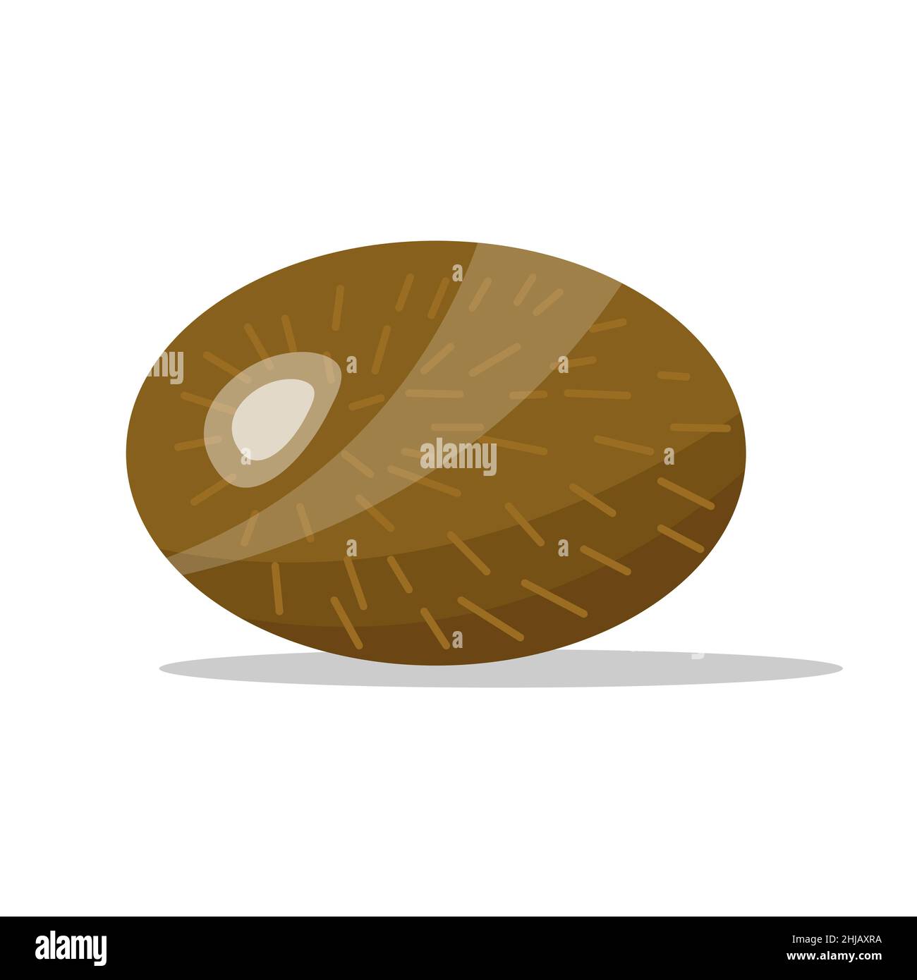 cartoon kiwi frutto flat design. illustrazione vettoriale Illustrazione Vettoriale