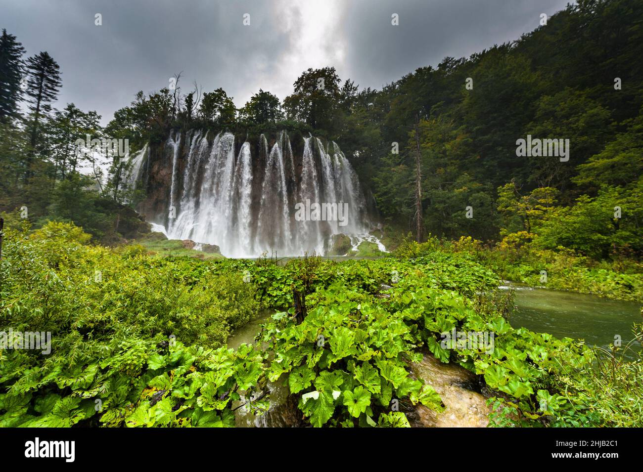 Cascate nel Parco Nazionale di Plitvice con il verde in primo piano Foto Stock