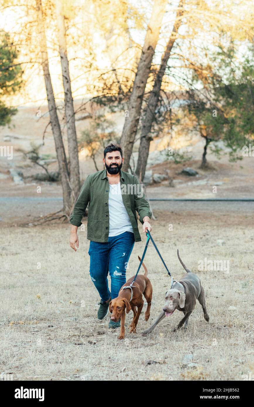 Uomo che prende i suoi cani per una passeggiata all'aperto in un parco. Foto Stock