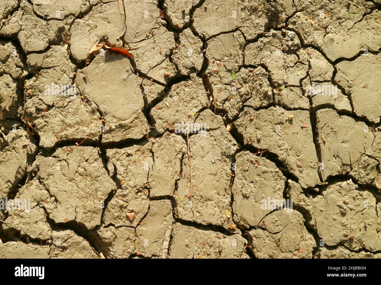 Vista dall'alto della struttura di terreno secco incrinato alla luce del sole Foto Stock