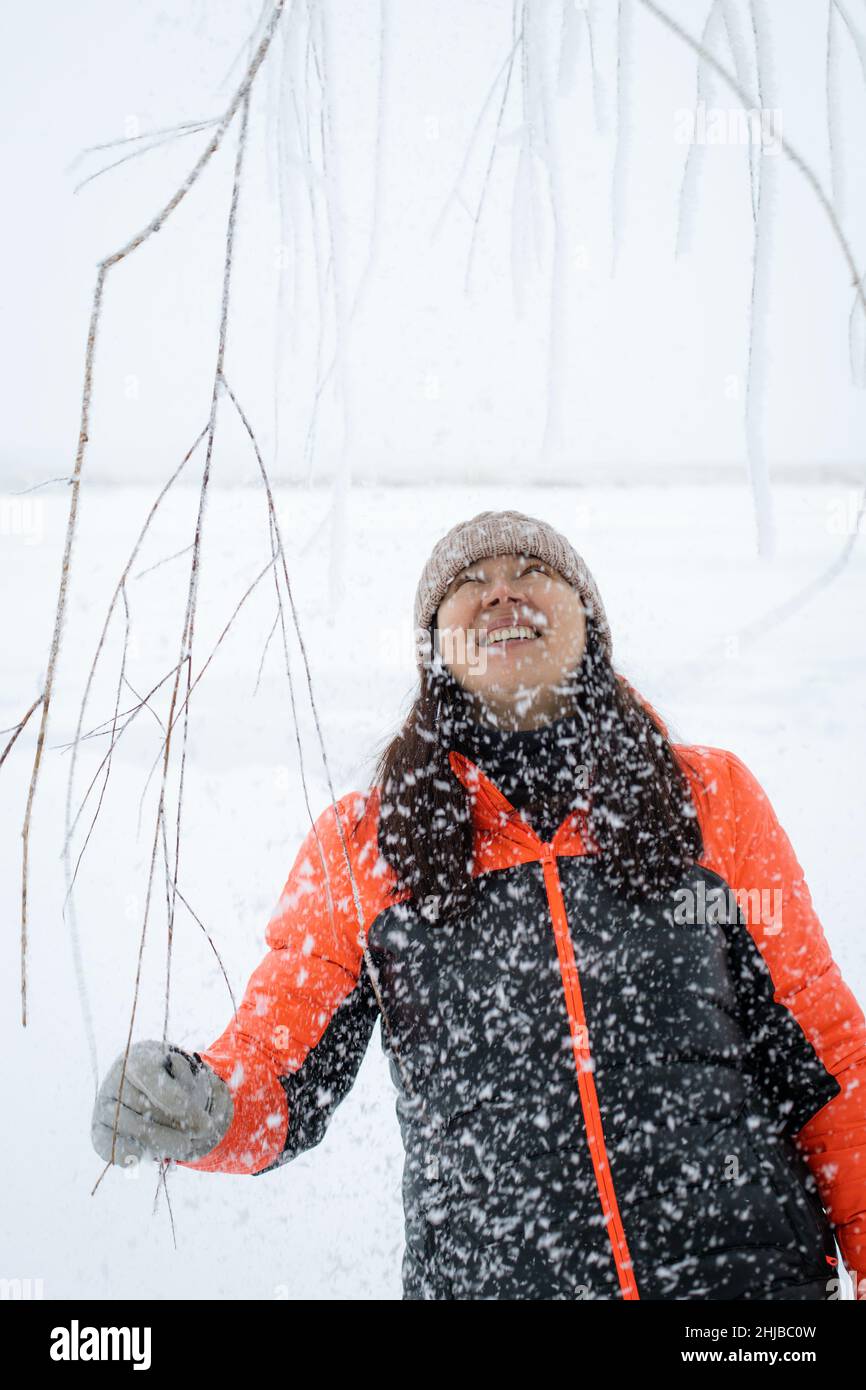 Sorridente donna di mezza età tirando ramoscelli di albero coperti di neve vestito calorosamente in piedi su terra nevosa guardando in su con la neve che cade su di lei Foto Stock