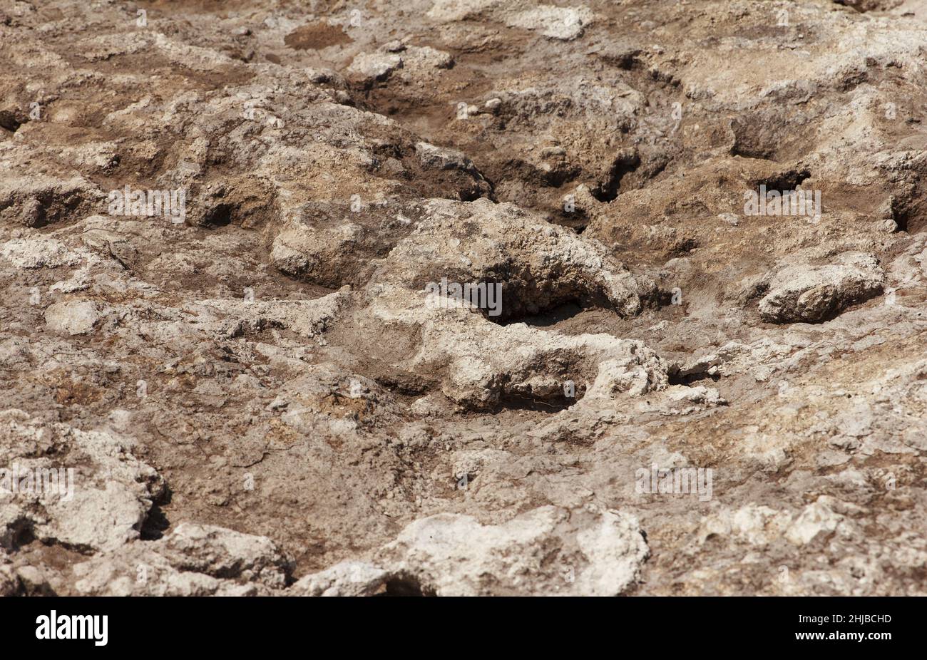 Fondo roccioso di un pozzo archeologico scavato su una collina alla ricerca di manufatti storici. Opere archeologiche Foto Stock