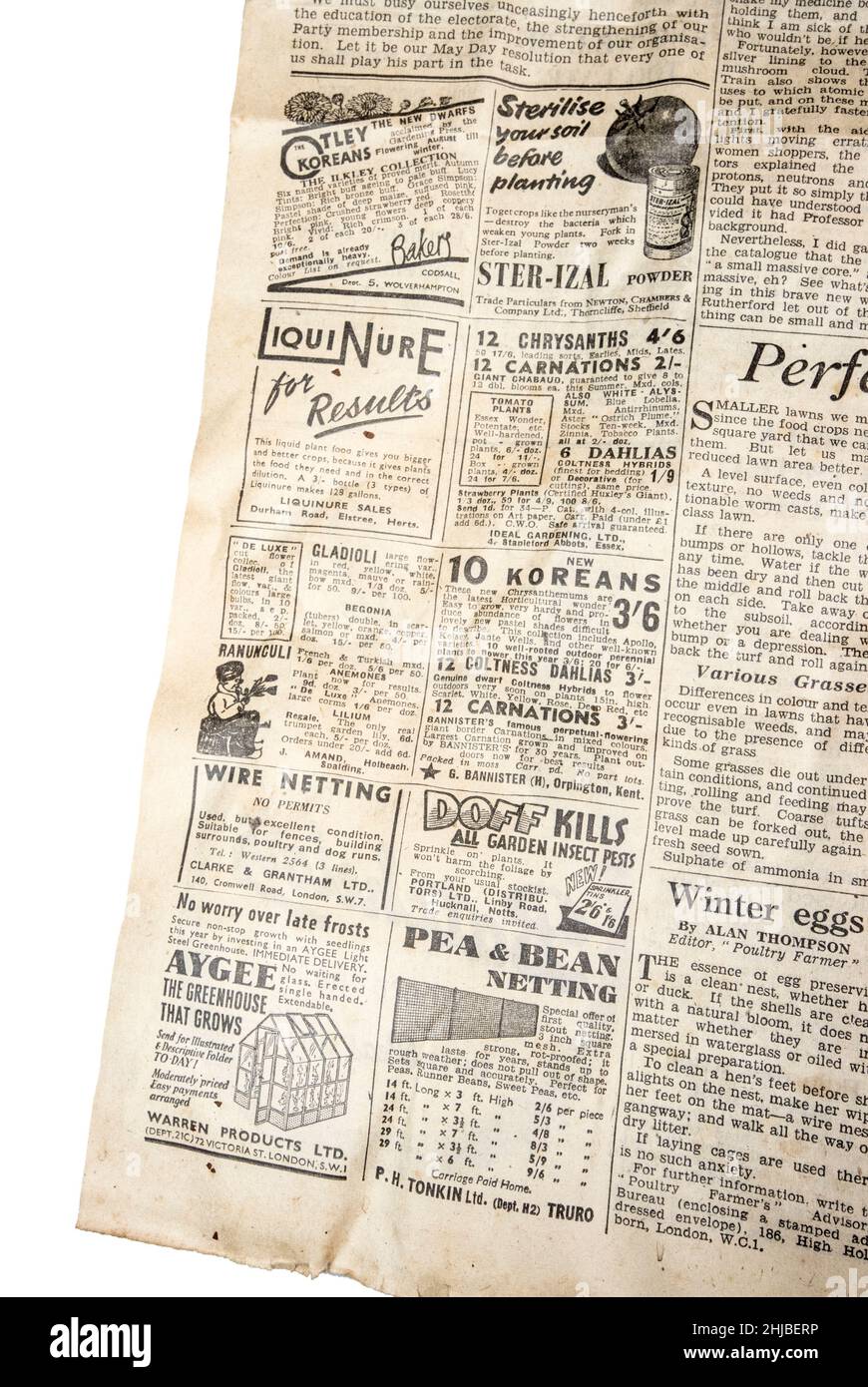 Esempio di pubblicità su giornali per prodotti da giardinaggio nel 1 maggio 1948 edizione del quotidiano Daily Herald, Regno Unito Foto Stock