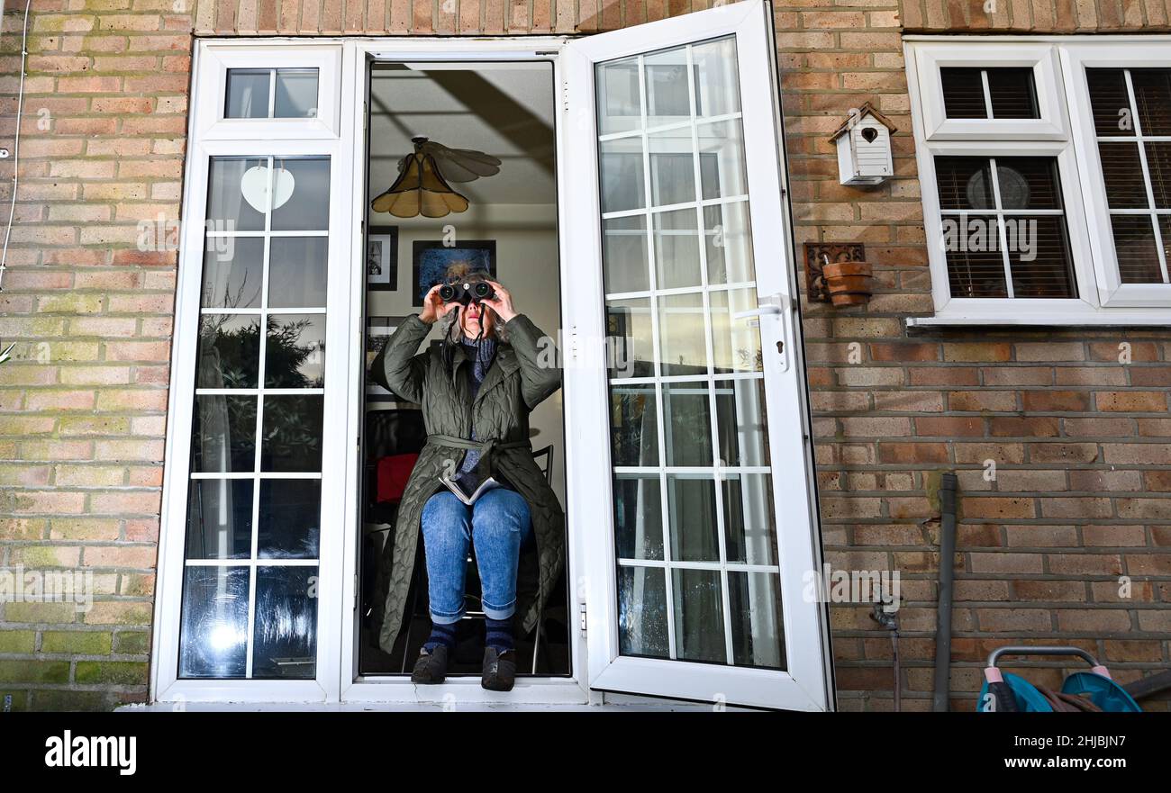 Brighton, Regno Unito. 28th Jan 2022. Jennie Dack di Brighton partecipa al Big Garden Birdwatch della RSPB che si svolge nei prossimi tre giorni nel Regno Unito . Il birdwatch annuale aiuta l'RSPB a monitorare come il numero di uccelli sta volando, poiché 38 milioni di uccelli sono stati persi dai cieli del Regno Unito negli ultimi 50 anni. : Credit Simon Dack/Alamy Live News Foto Stock