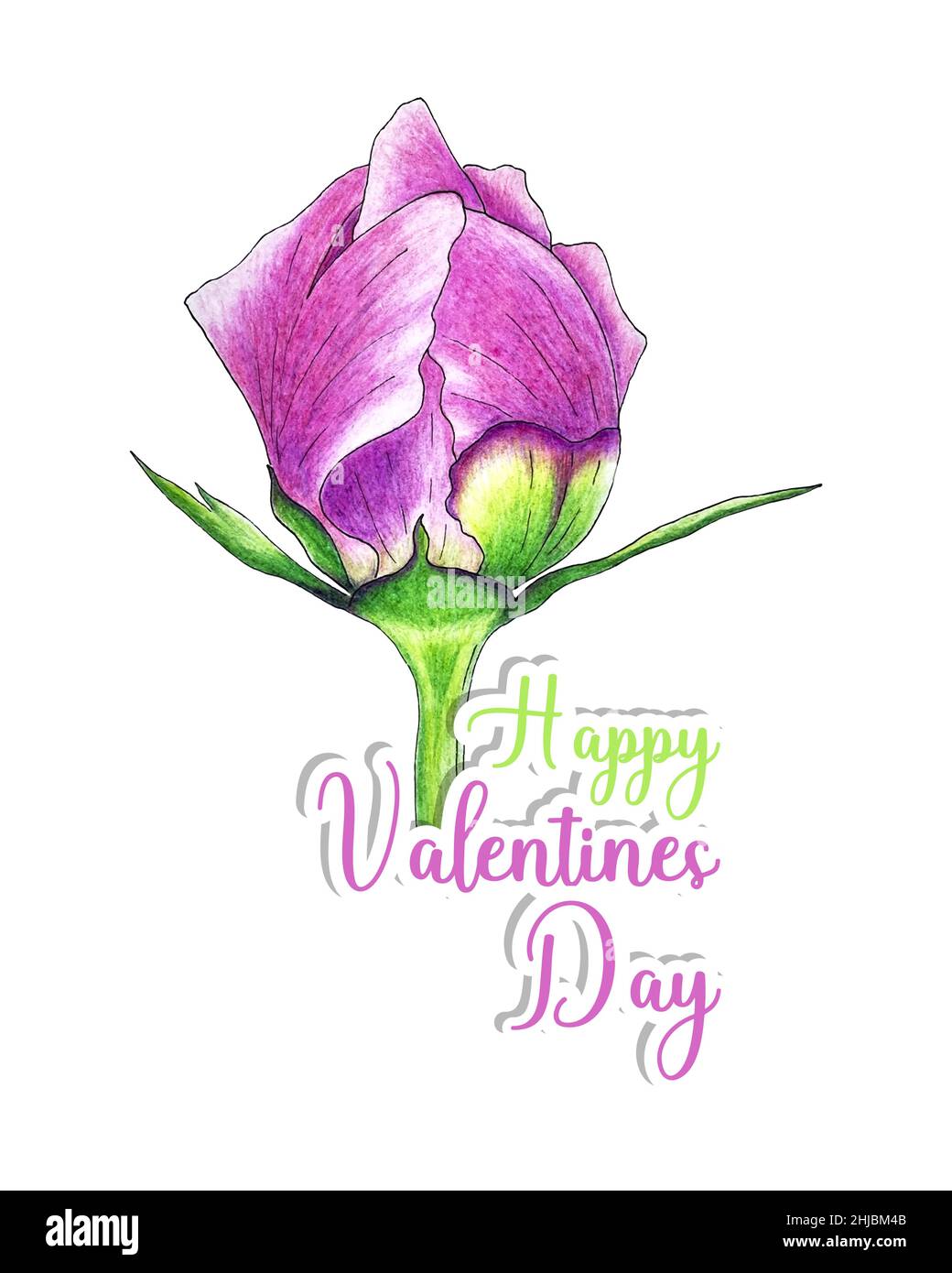 Buon giorno San Valentino germogli di peonia e adesivi scritte per tutti gli amanti, disegno a matita a mano, schizzo, cartolina, sfondo bianco. Illustrazione vettoriale Illustrazione Vettoriale