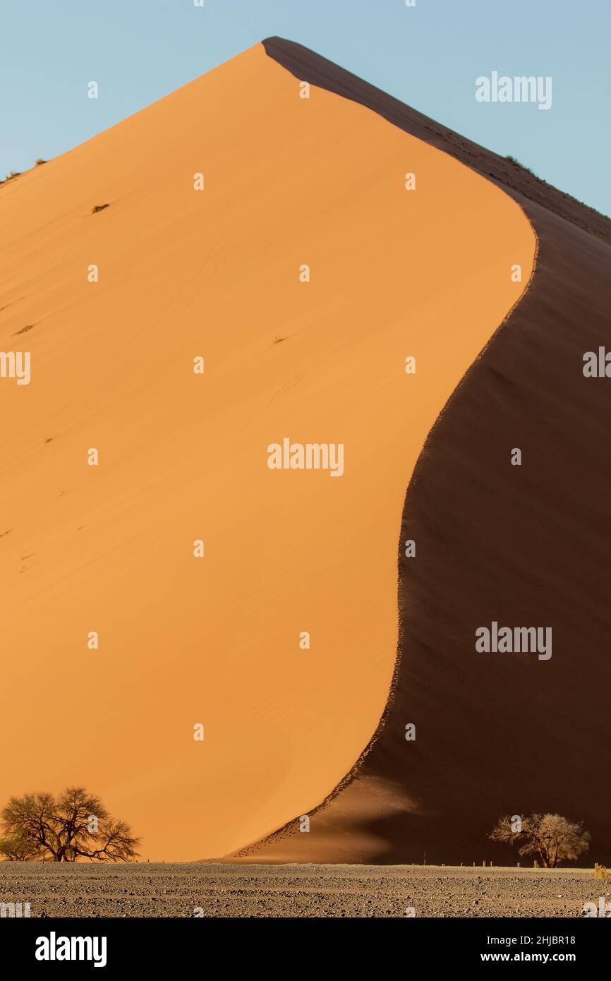 Dune 45, Sossusvlei, Namibia Foto Stock