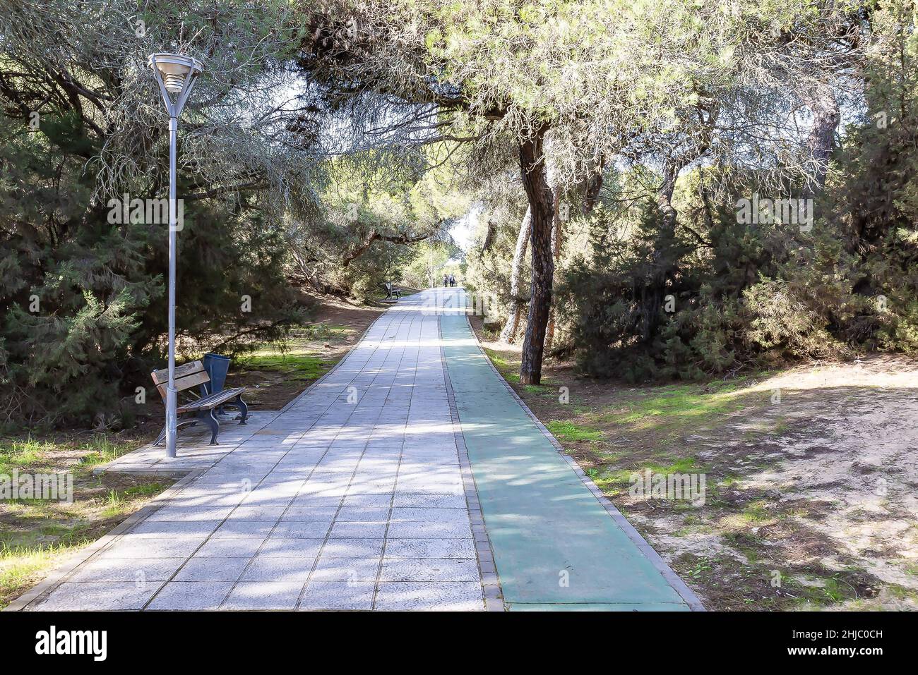 Passeggiata pedonale e pista ciclabile tra le pinete della spiaggia di Portil a Punta Umbría Huelva Foto Stock