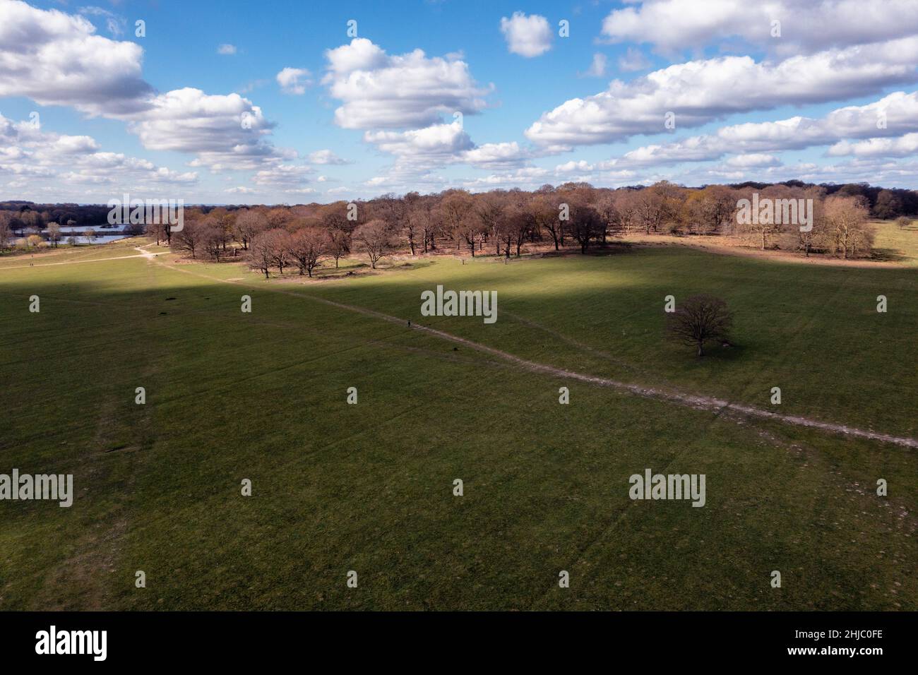 Nuvole e ombre cielo blu in estate sui campi di Richmond Park, fotografia drone, Surrey, Inghilterra Foto Stock